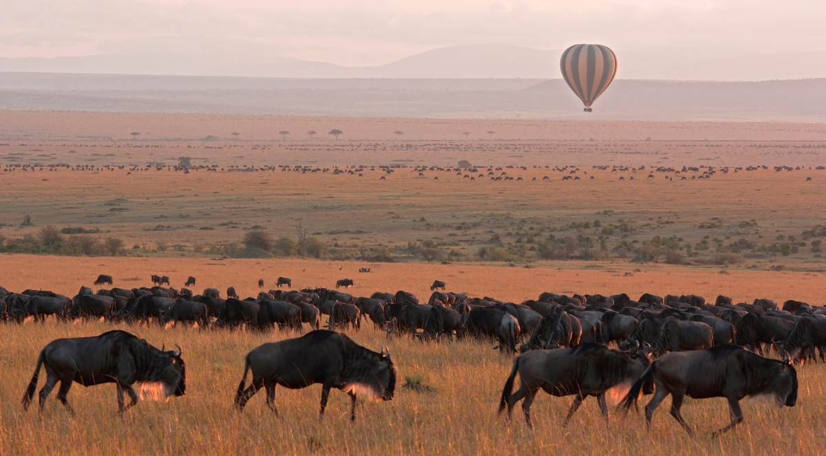 Sunset in the Maasai Mara National Reserve