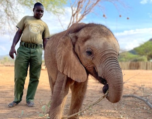 Milgis+Reteti+Elephant+Sanctuary+Kenya