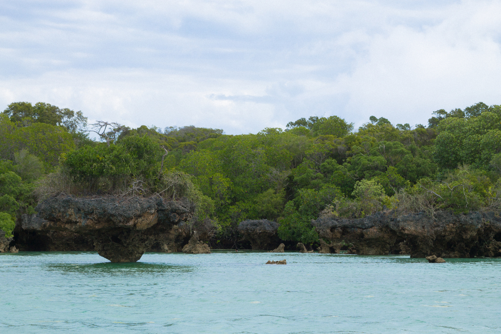 Ours. Menai Bay, Unguja Zanzibar