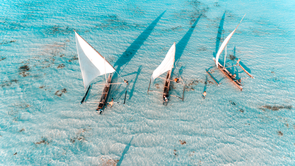 Ours. Sailors on dhows in Zanzibar, Tanzania