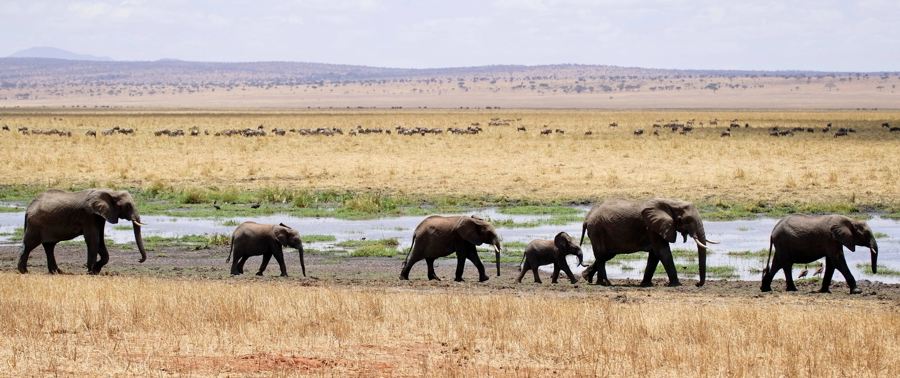 Tanzania
