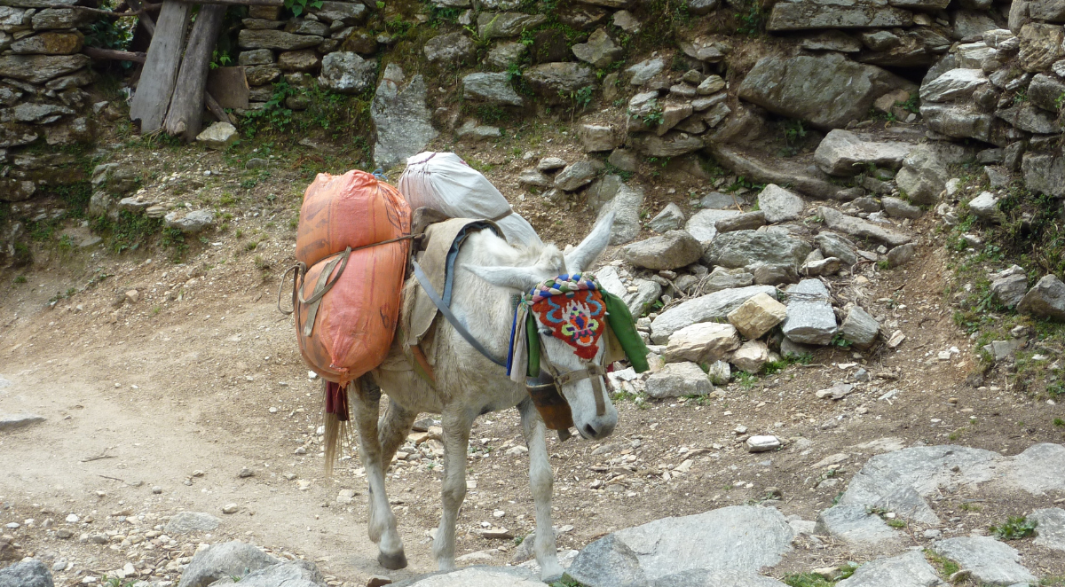 Annapurna Circuit