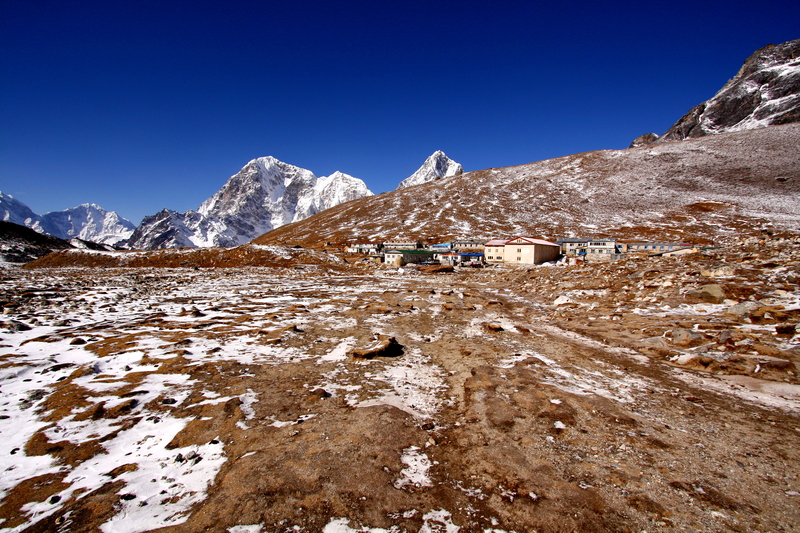 Ours. Lobuche village, EBC trek, Nepal