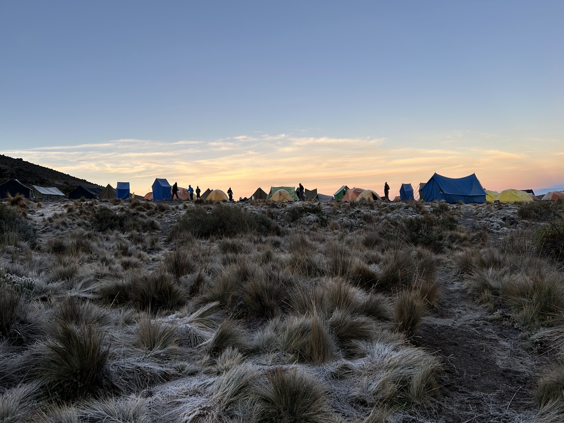 Romy. Shira Camp sunrise, Kilimanjaro