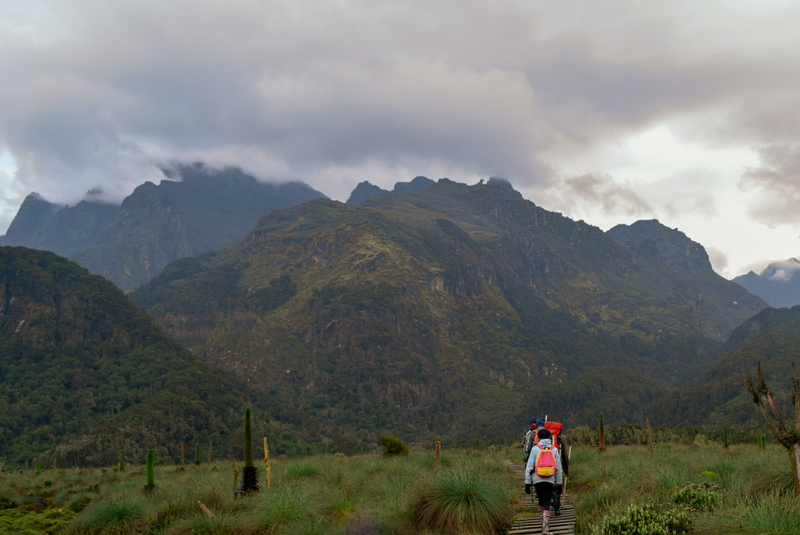 trekking-rwenzori-mountains-uganda-1-1.jpg