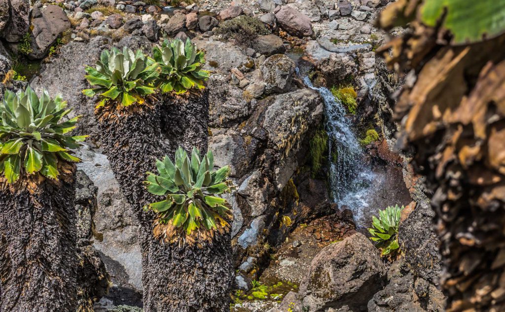 Waterfall-on-kilimanjaro-baranco-camp-1024x632.jpg