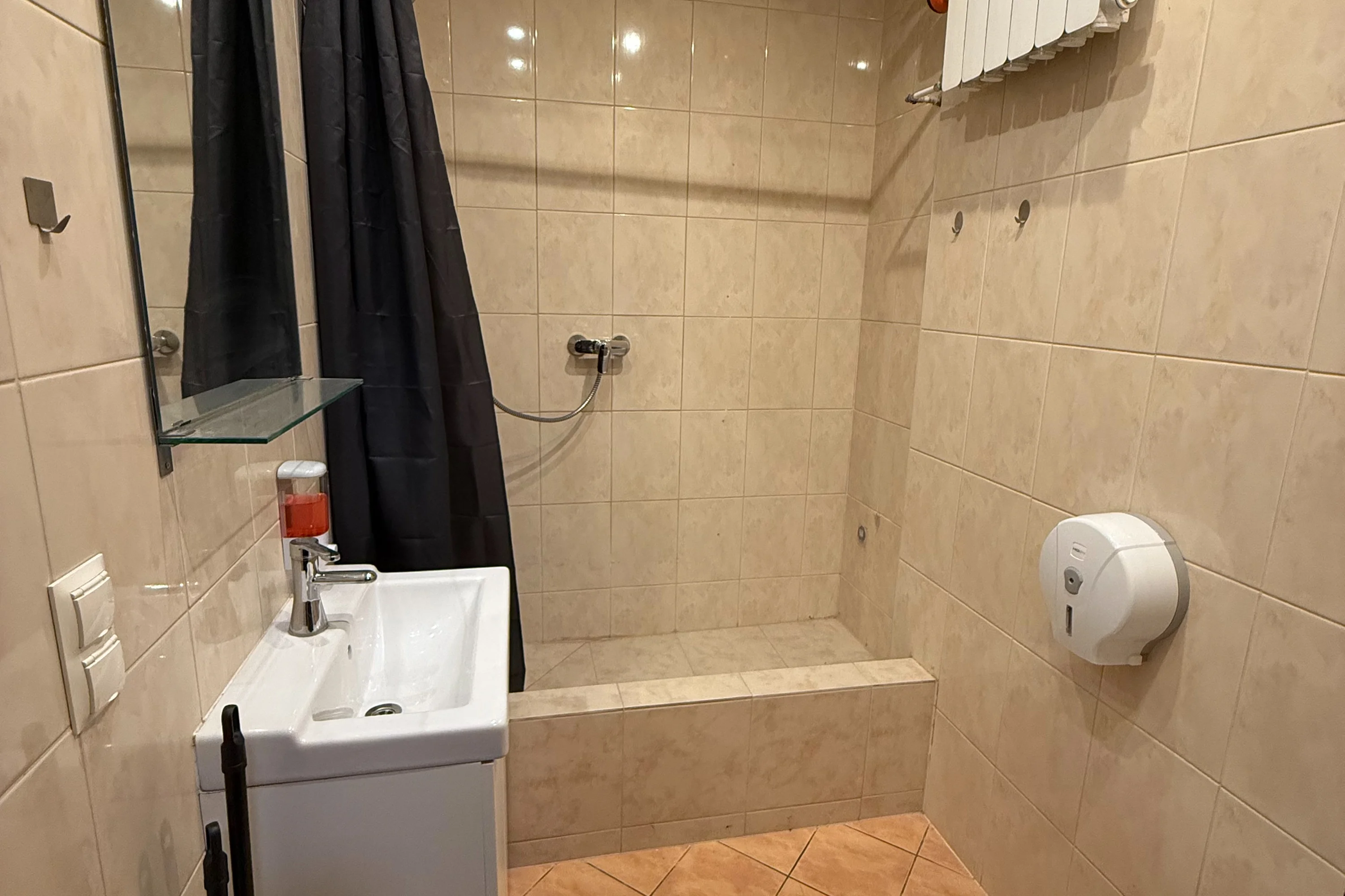 Small tiled bathroom with a sink, mirror, soap dispenser, shower area with black curtain, and a wall-mounted toilet paper dispenser.
