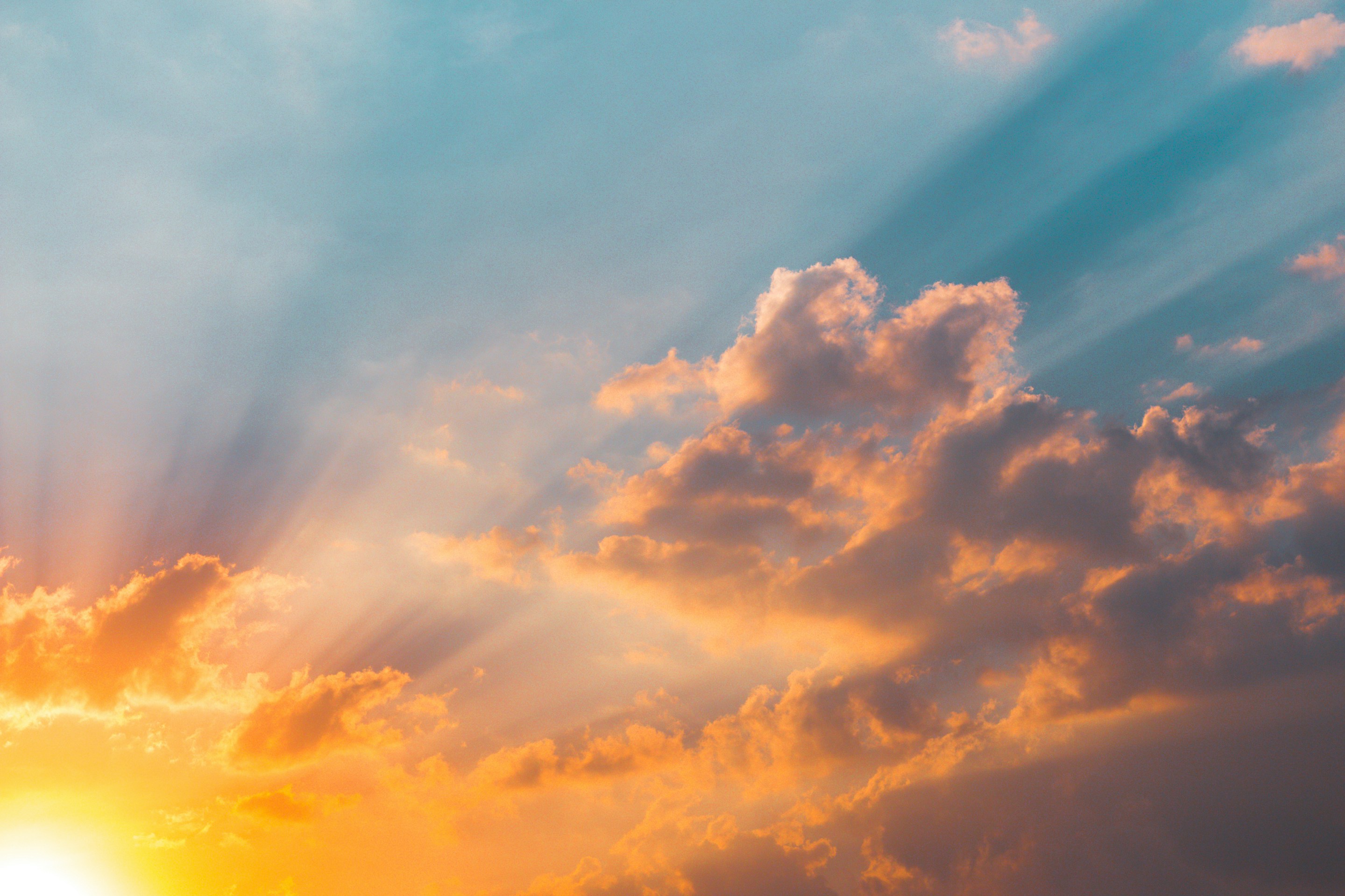 Understanding Content Management Systems 2