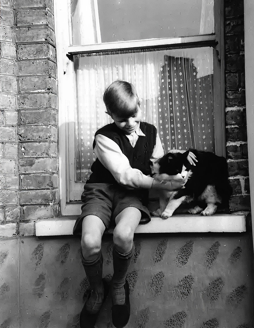 Bowie’s House homepage hero image