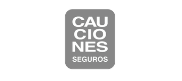 Cauciones Seguros