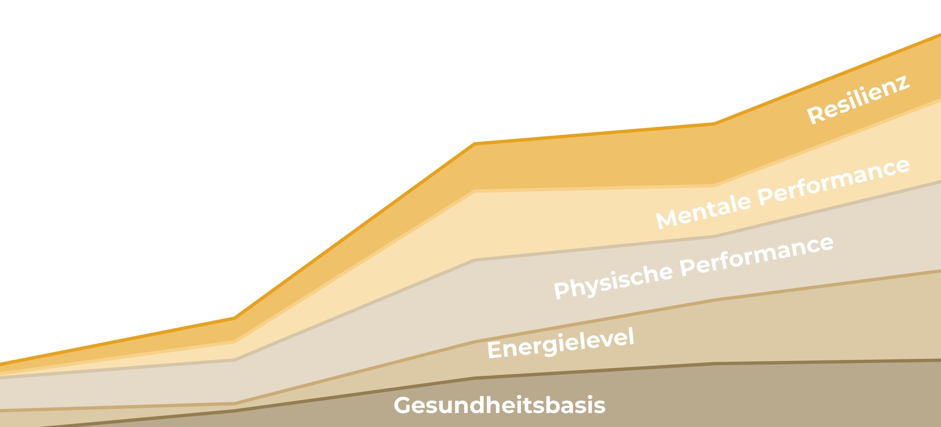 image of a consultation room in a medical clinic
