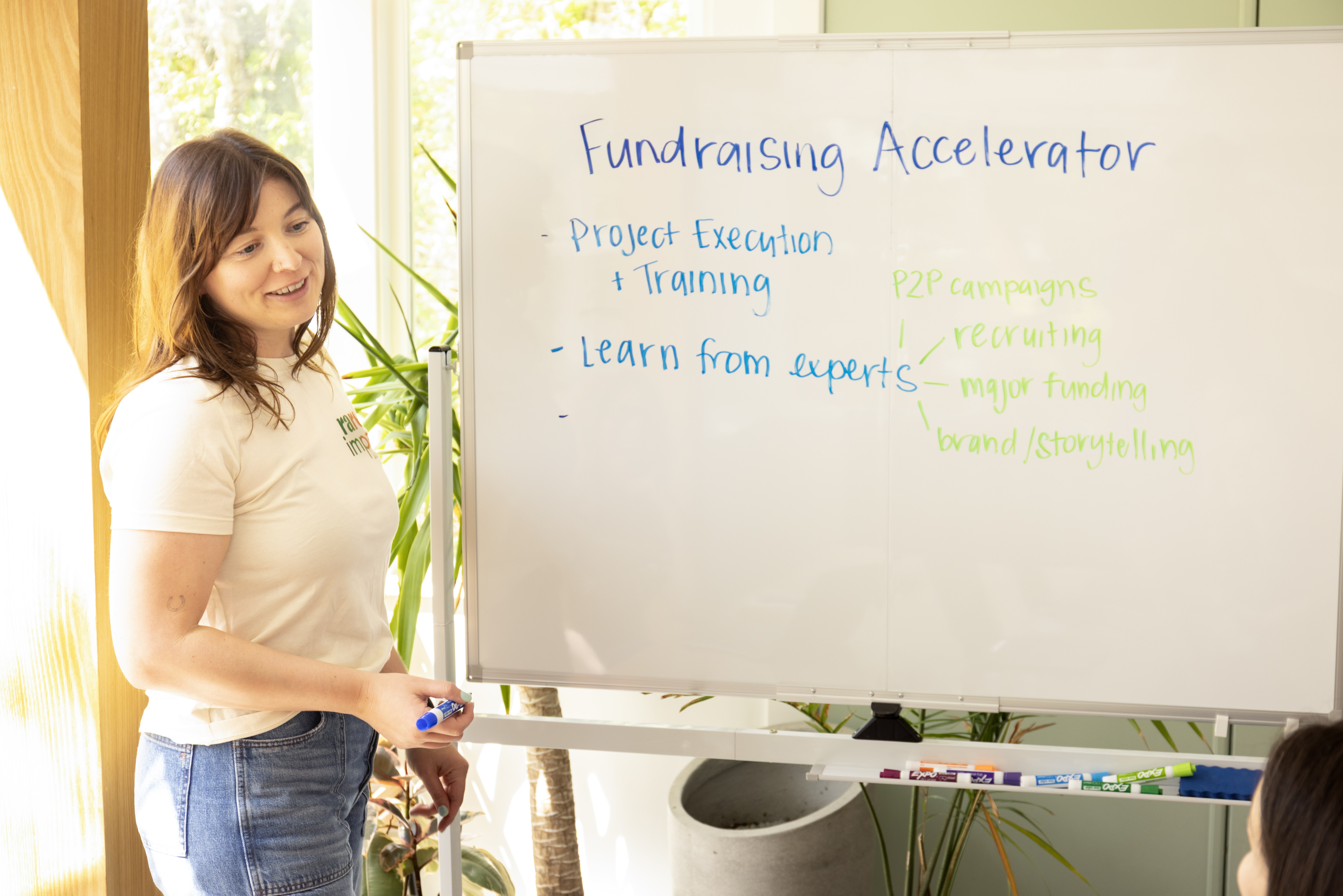 Rare Impact Fundraising Accelerator components on a whiteboard showing project execution at the same time as learning fundraising from top experts.