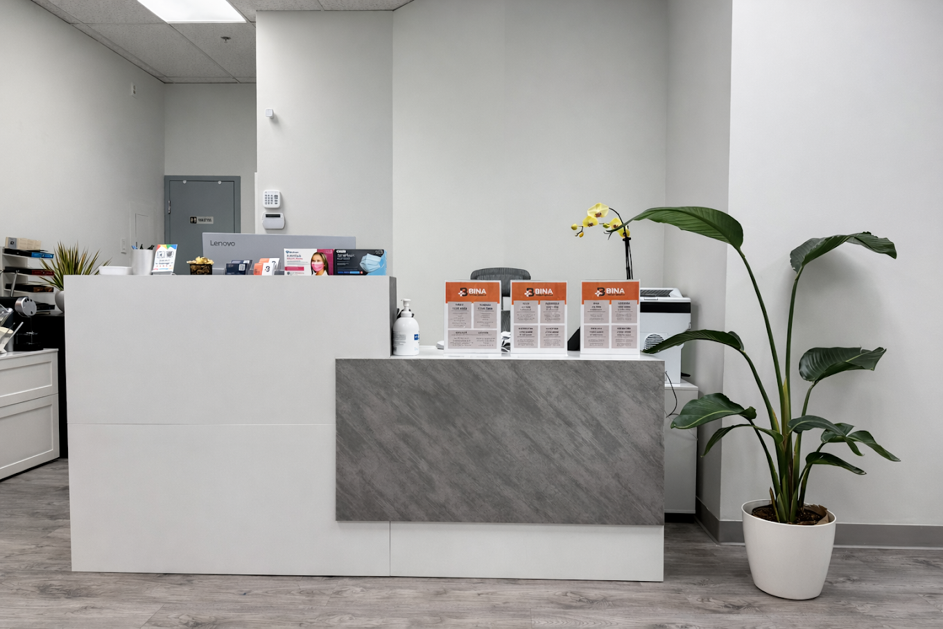 Modern reception desk with informational brochures, a potted plant with large green leaves, and a yellow orchid flower in a clean office space.
