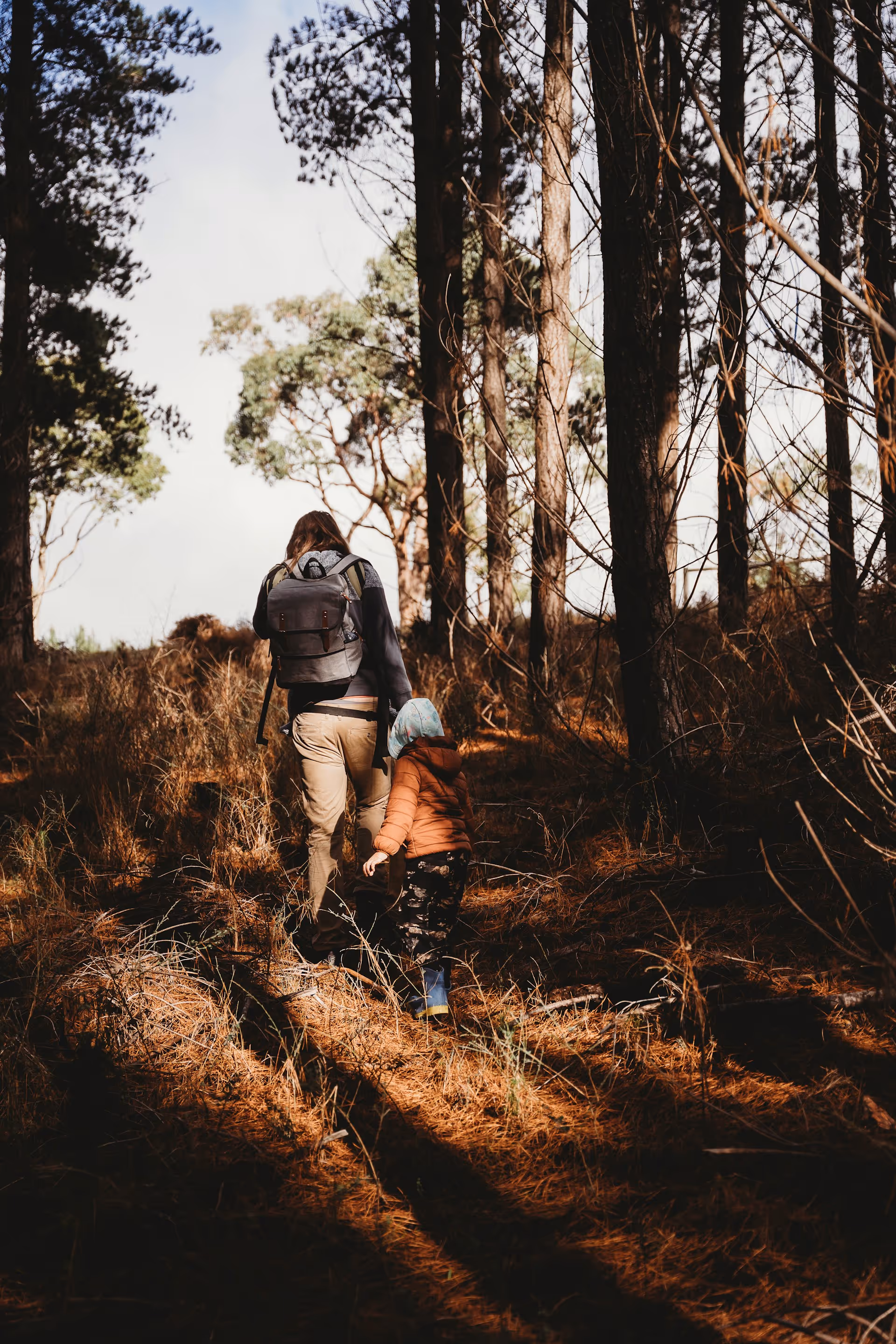 Adult and child walking through a sunlit forest with tall trees and dry leaf-covered ground.