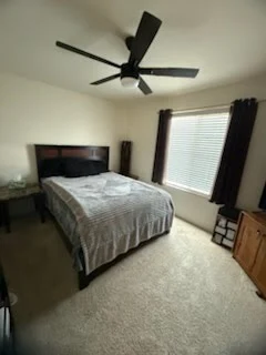 recurring clean in oro valley