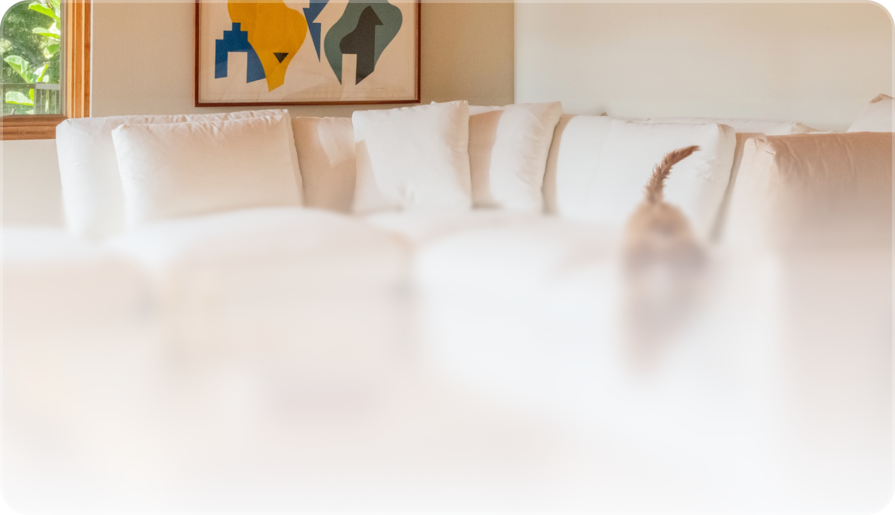 Light-filled living room with a white sectional sofa, white pillows, abstract wall art, and a cat walking away with its tail up.