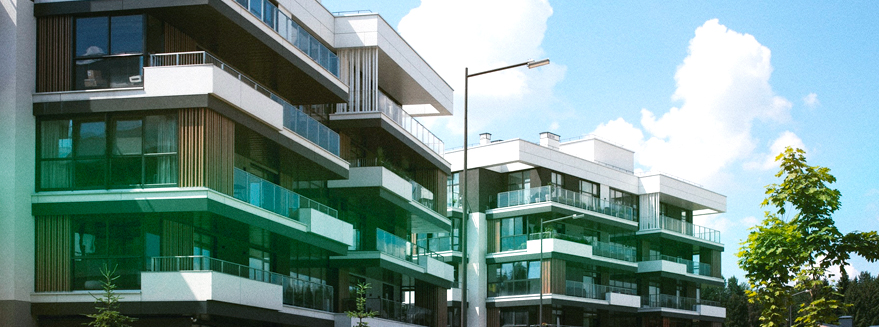Two Nimbus Library founders in a minimalist office, showcasing the professional and versatile use of the library.