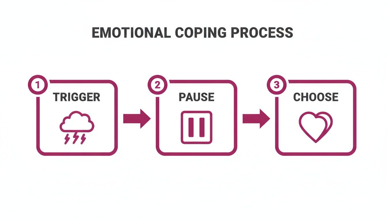 A flowchart outlining the emotional coping process: Trigger (storm cloud), Pause (pause icon), and Choose (heart).