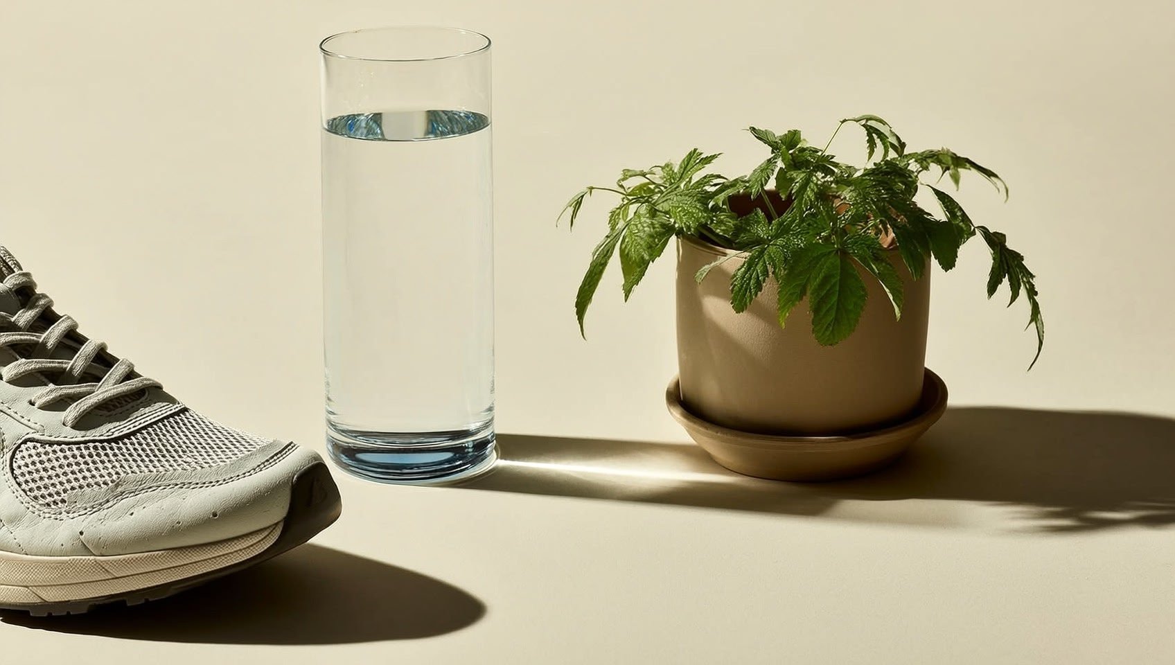 A Guide to Sustainable Weight Loss Habits That Last