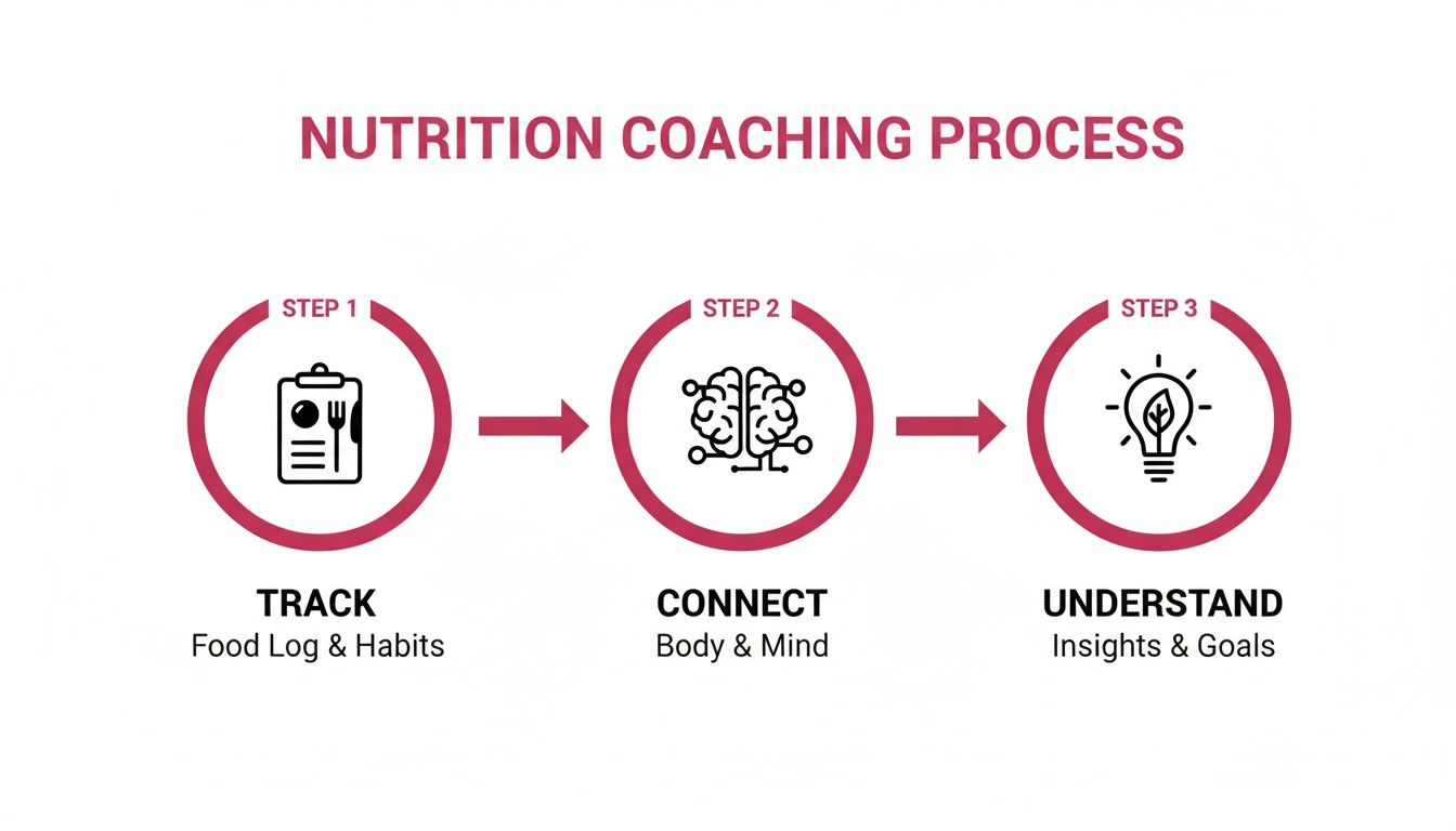 A diagram illustrating a three-step nutrition coaching process: Track, Connect, Understand with icons.