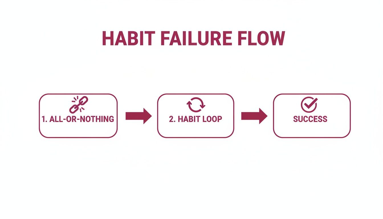 Flowchart showing three steps: All-or-Nothing, Habit Loop, and Success, for habit formation.