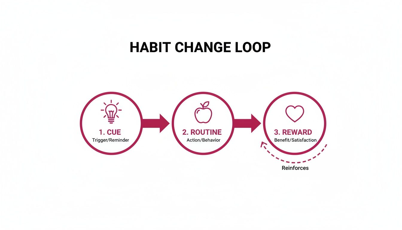 Diagram illustrating the habit change loop with Cue, Routine, and Reward stages and reinforcement.