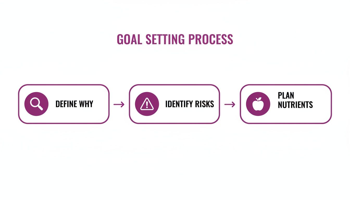A goal setting process diagram showing three steps: Define Why, Identify Risks, and Plan Nutrients.