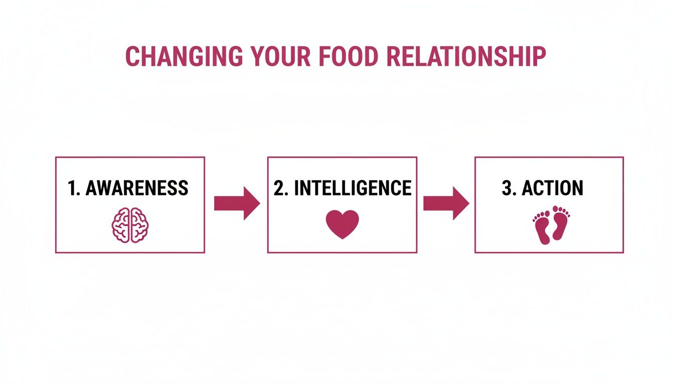 Infographic illustrating three steps for changing your food relationship: Awareness, Intelligence, and Action.