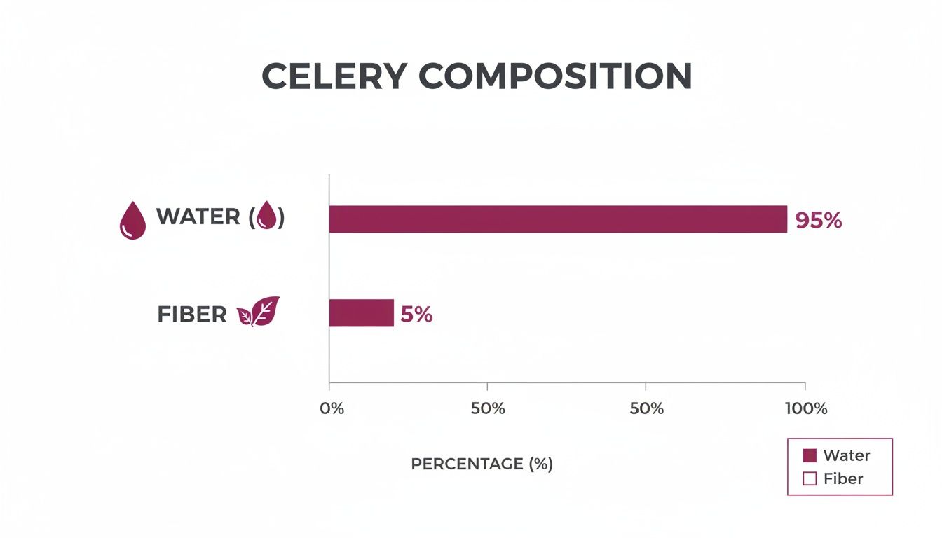 Horizontal bar chart showing celery composition: 95% water and 5% fiber.