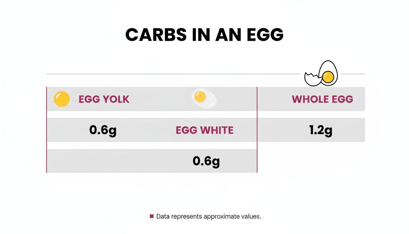 Infographic showing carbohydrate content in egg yolk (0.6g), egg white (0.6g), and whole egg (1.2g).