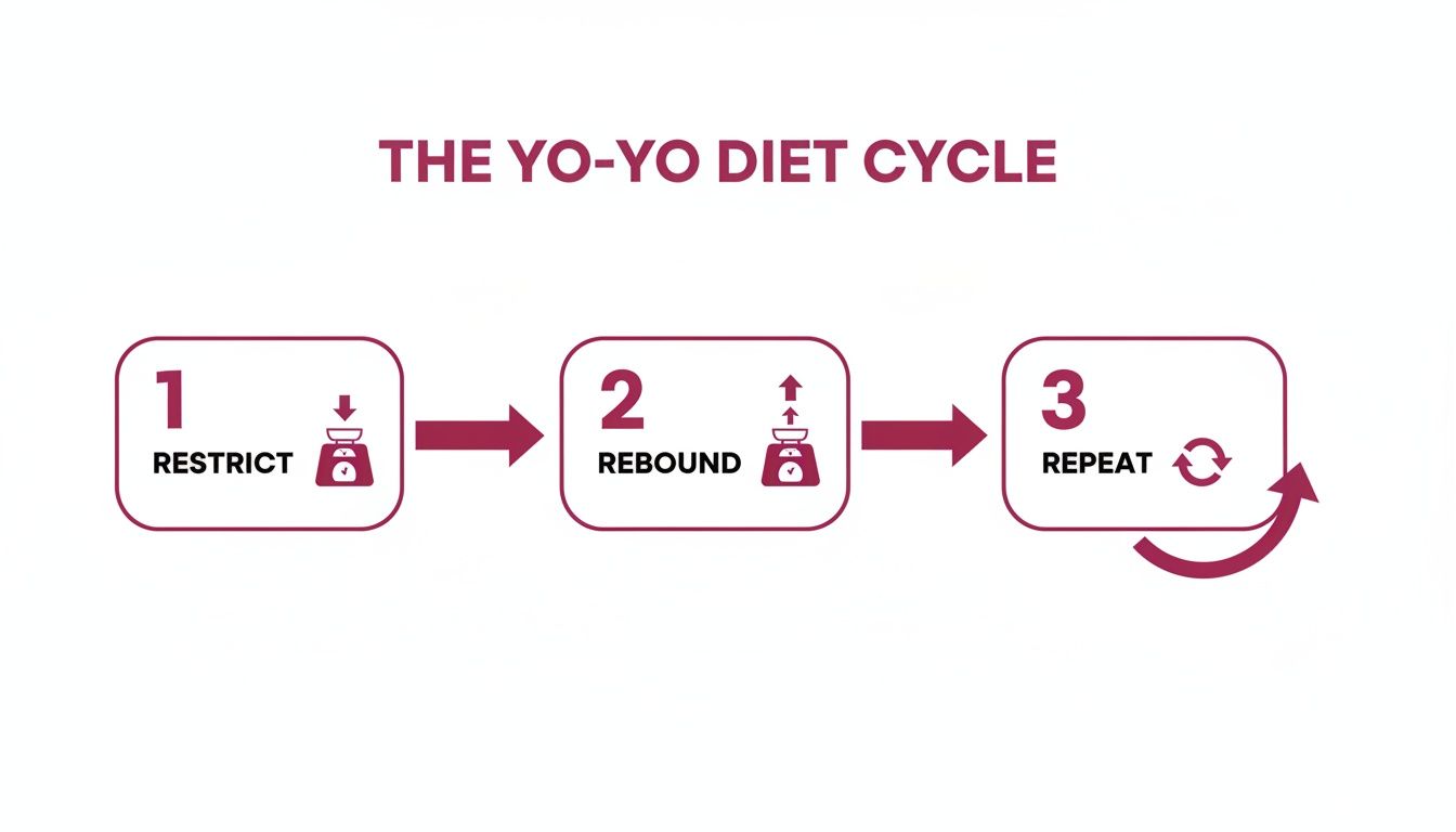 Infographic showing the three-step yo-yo diet cycle: restrict, rebound, and repeat.