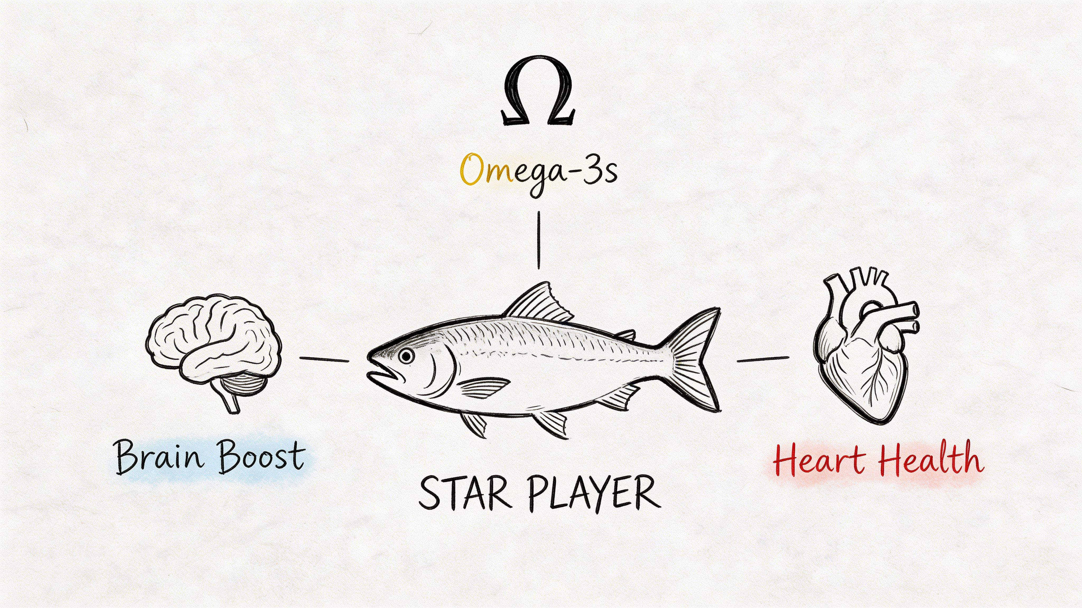 A hand-drawn illustration showing a fish connecting to a human brain and a heart to symbolize Omega-3 benefits.