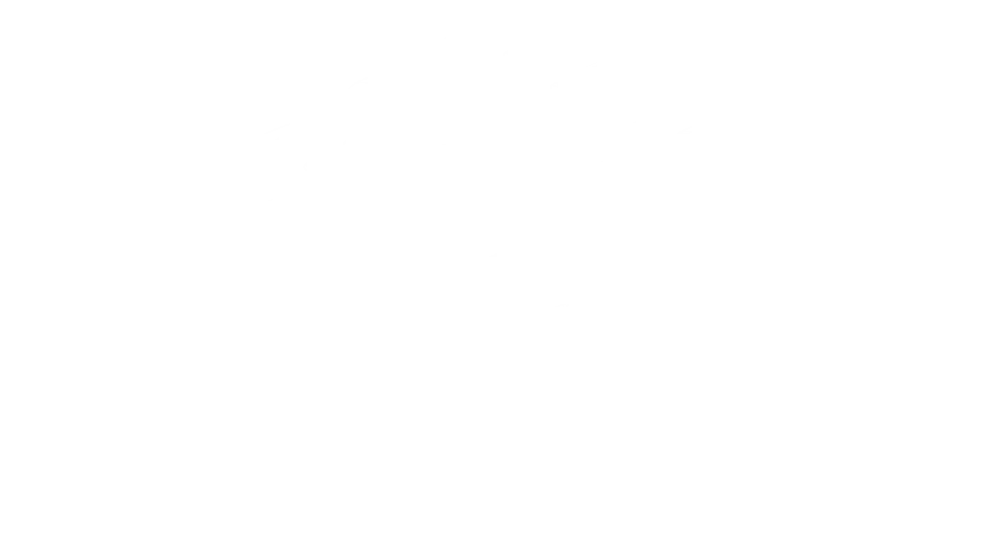 Professional 3D Printer in active commercial use at job site