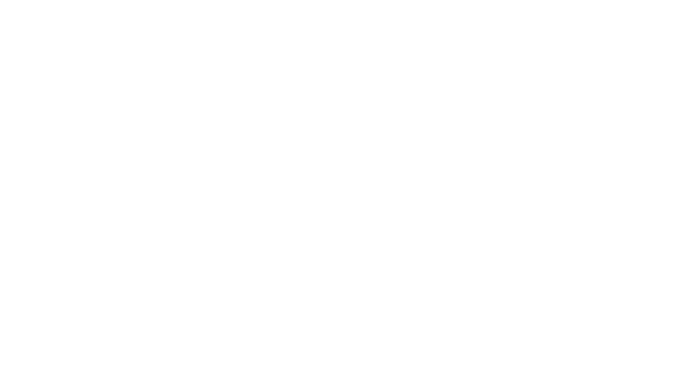 Professional Dump Truck in active commercial use at job site