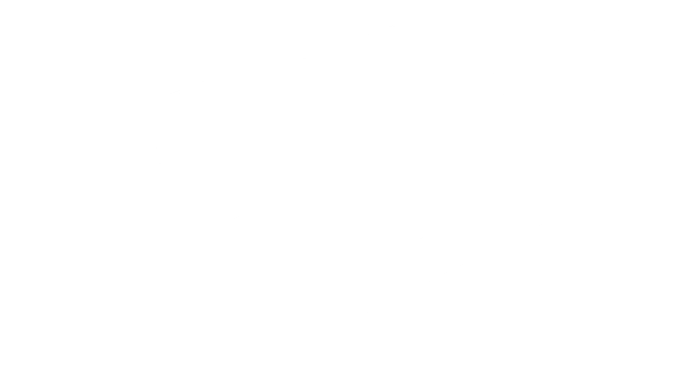 Professional Dump Truck in active commercial use at job site