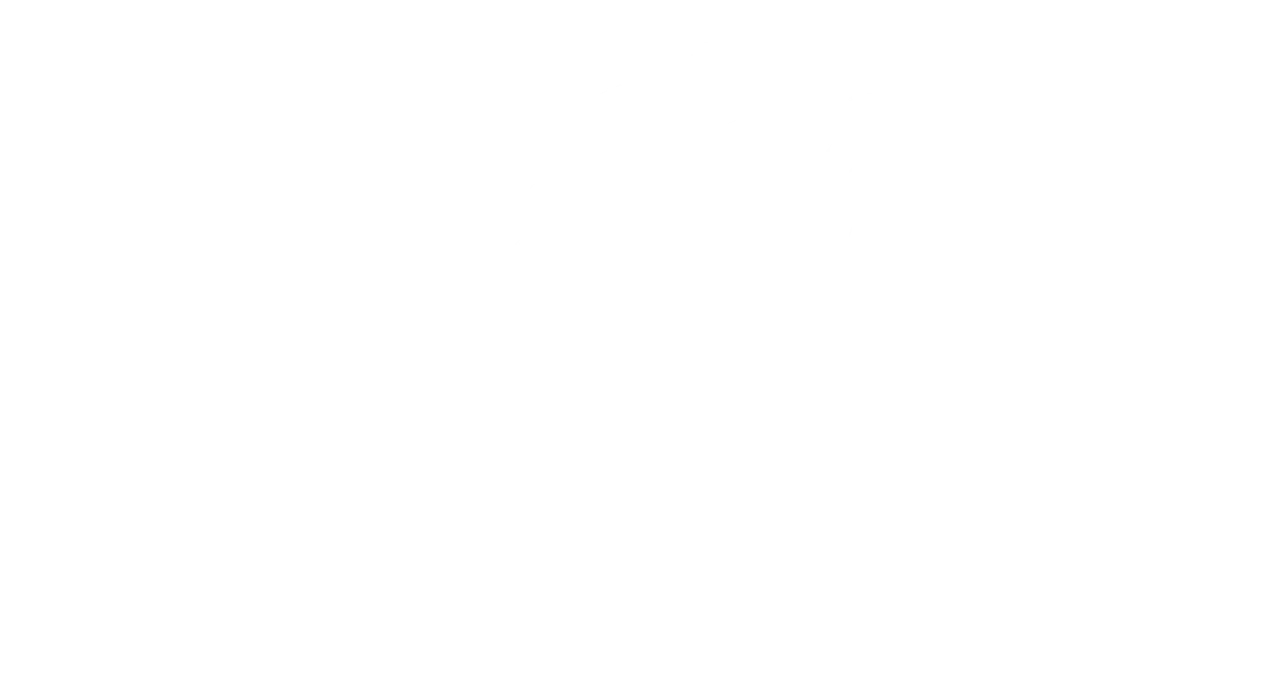 Professional Skid Steer in active commercial use at job site