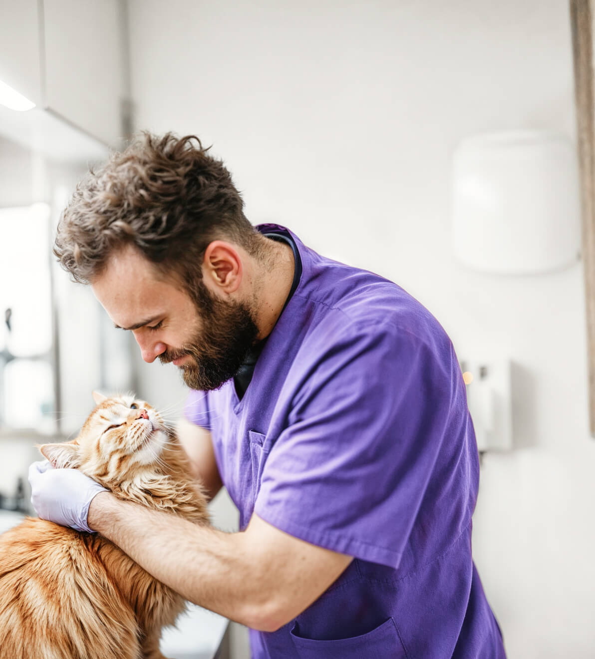 Transform Your Pet Look Pawcare Webflow Template | Brix Template