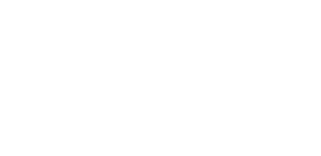 Fexira brand logo with stylized lettering.