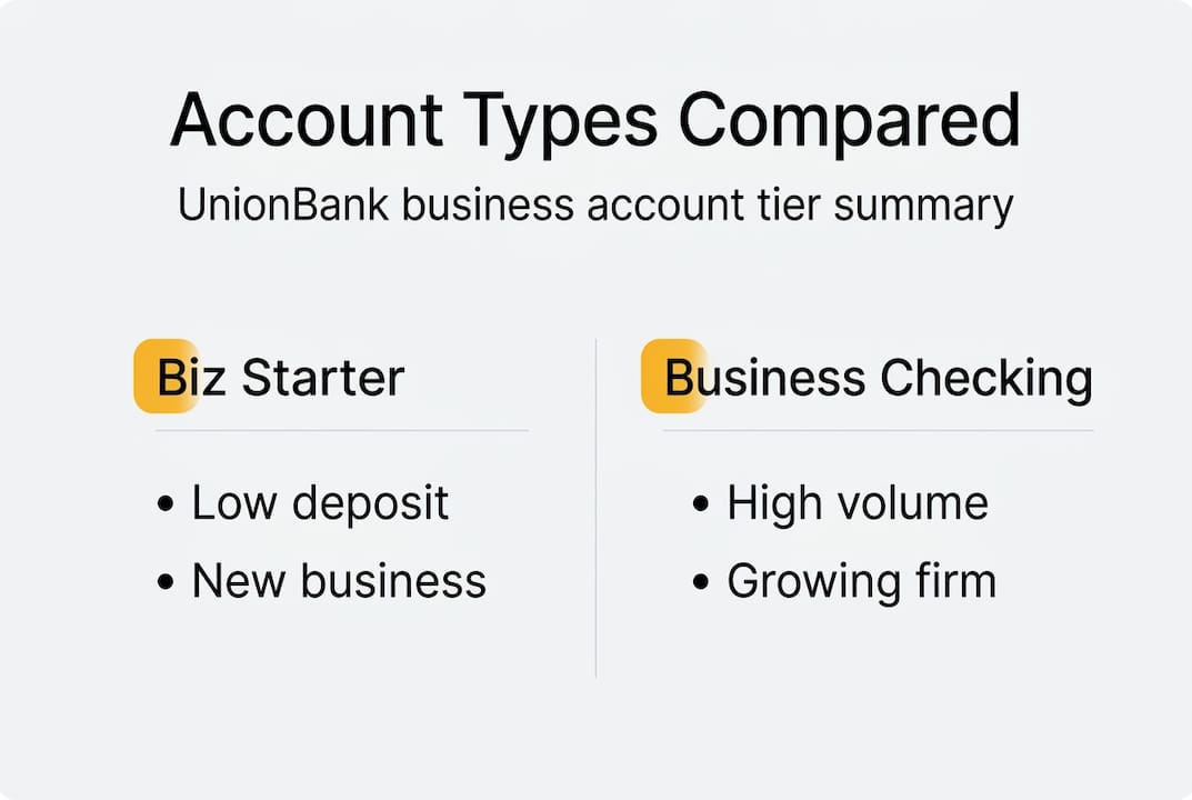 Infographic comparing UnionBank corporate account types