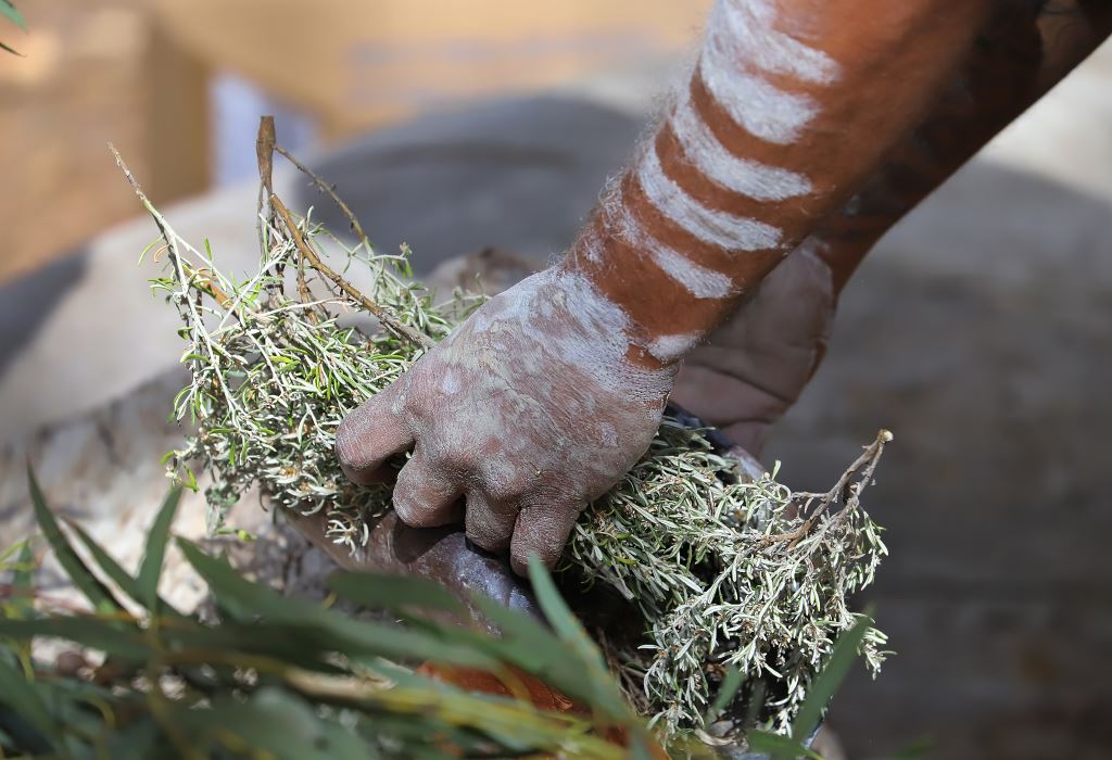 Person's hands and forearm with white body paint applying green leafy plants onto a surface in a ritualistic or traditional manner.