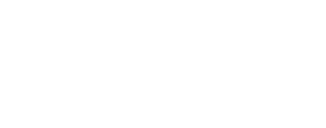 Social Stars Logo