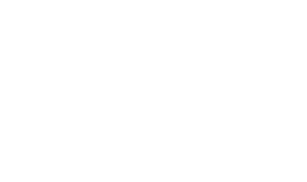 Nail News Logo