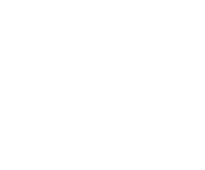 Pro Tip Logo