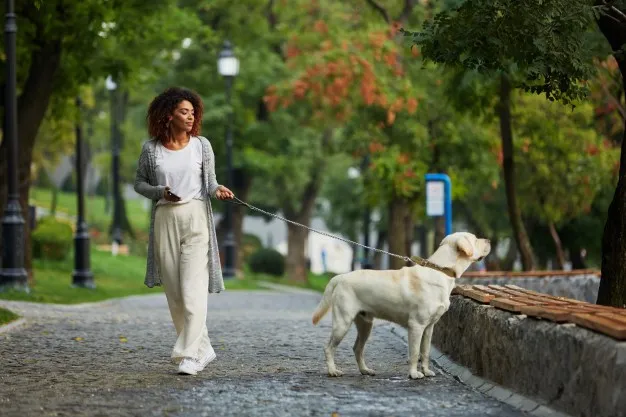 Woman walking a dog