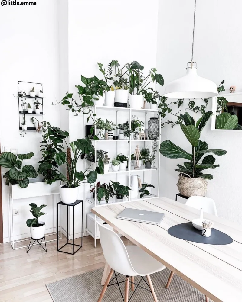 Home office filled with plants