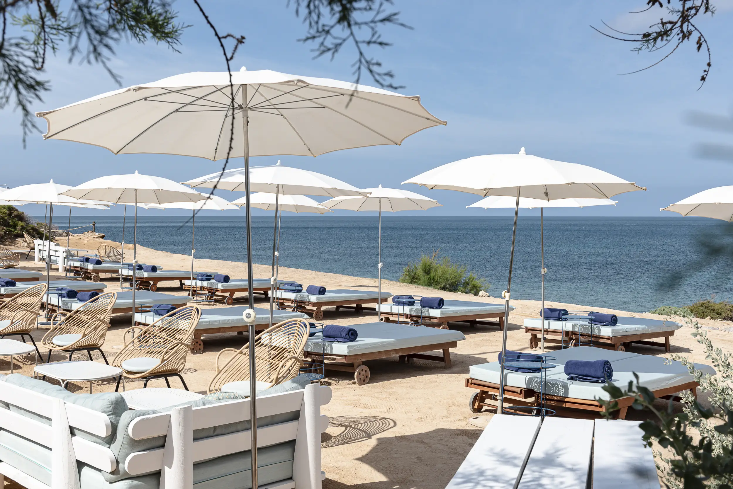 A beach setup featuring numerous lounge chairs under white umbrellas, offering an unobstructed view of the sea.