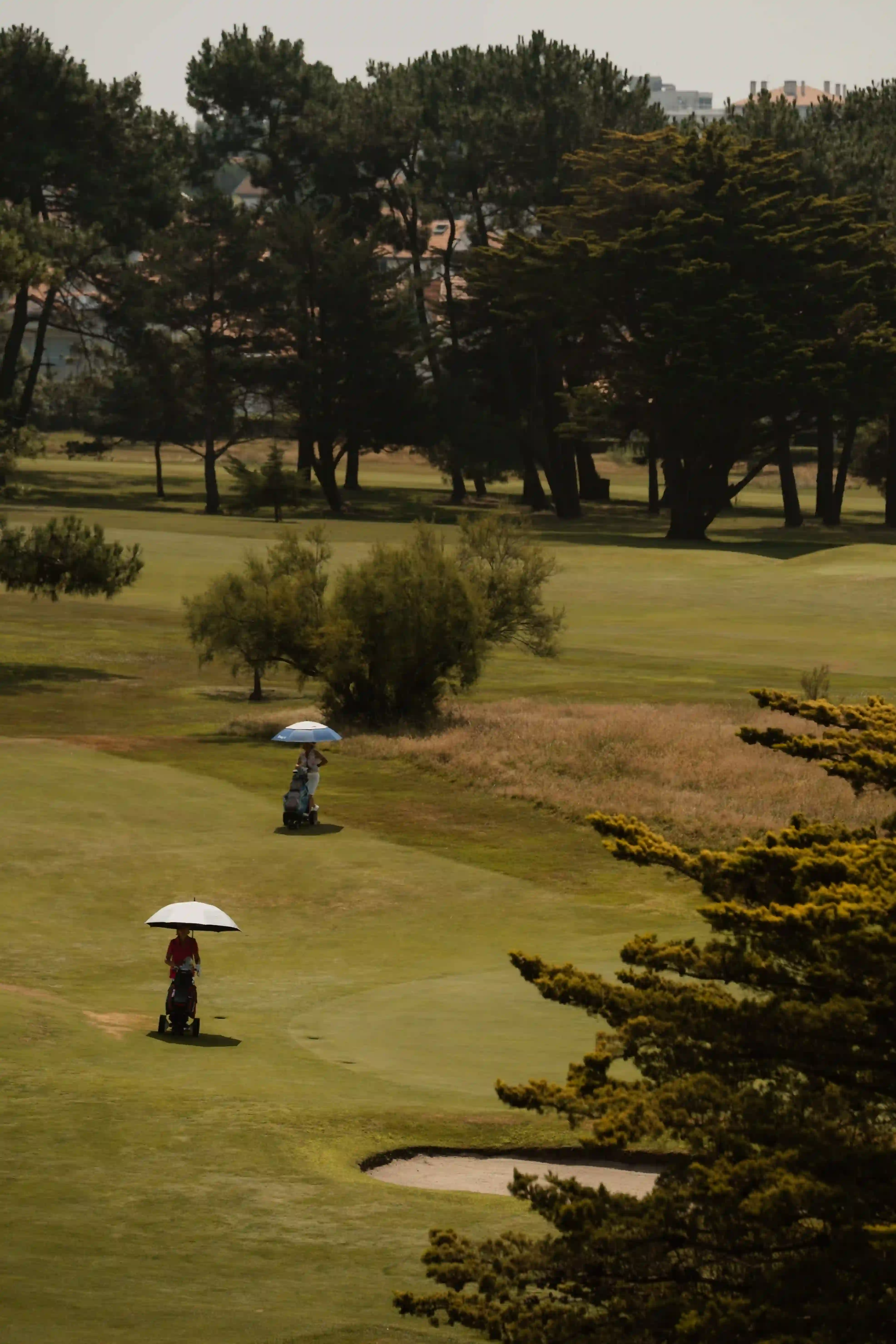 green de golf