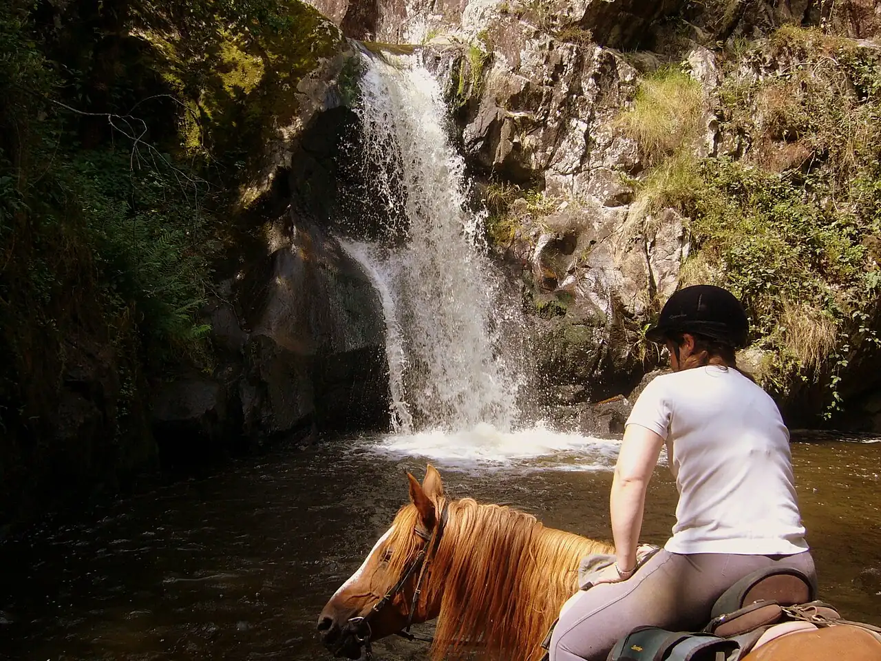 Equestrian sports Boutique Hotel Experimental Chalet Verbier