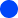Blue circle emoji on a white background.