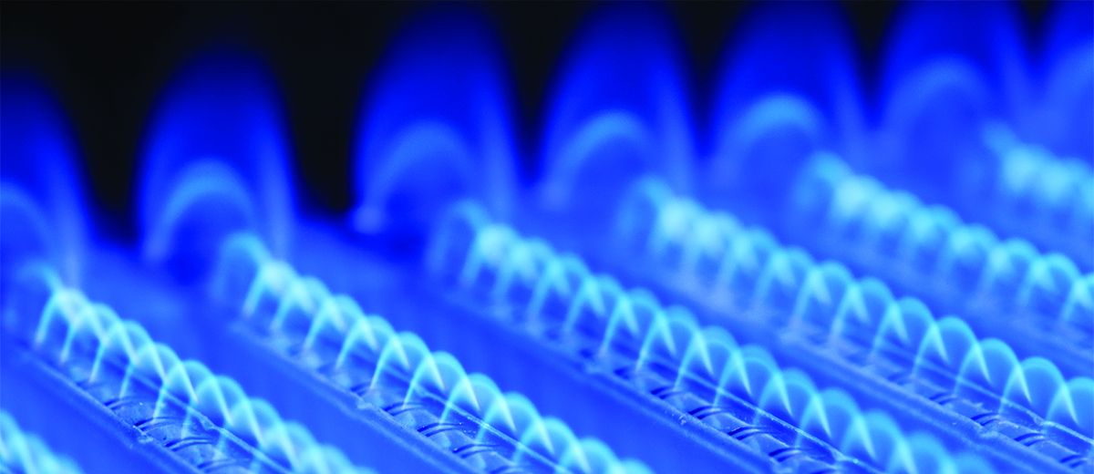 Gas Boiler Servicing